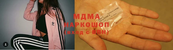 шишки Алексин